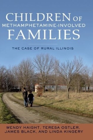 Cover of Children of Methamphetamine-Involved Families