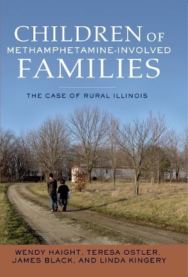 Book cover for Children of Methamphetamine-Involved Families