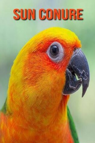 Cover of Sun Conure