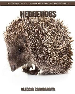 Cover of Hedgehogs