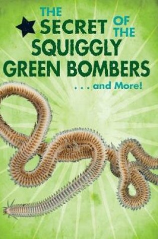 Cover of The Secret of the Squiggly Green Bombers...and More!