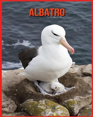 Book cover for Albatro