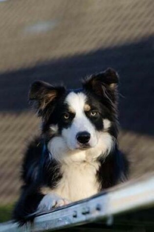 Cover of Tri-Colored Border Collie Dog Journal