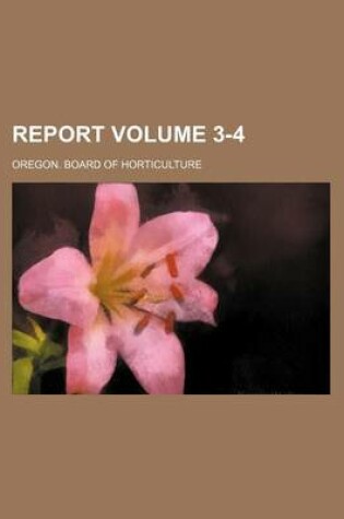 Cover of Report Volume 3-4