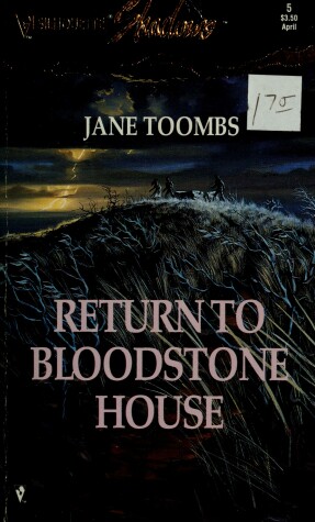 Book cover for Return to Bloodstone House