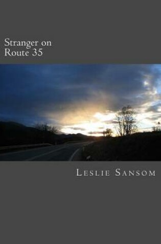 Cover of Stranger on Route 35