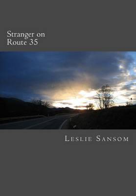 Book cover for Stranger on Route 35