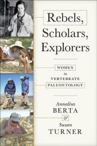 Cover of Rebels, Scholars, Explorers