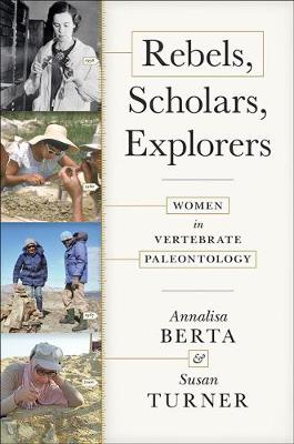 Book cover for Rebels, Scholars, Explorers