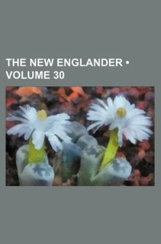 Cover of The New Englander (Volume 30)