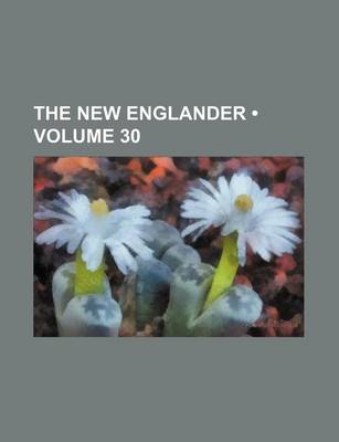 Book cover for The New Englander (Volume 30)