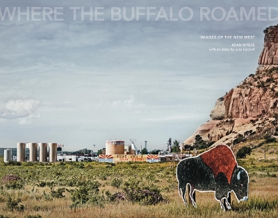 Book cover for Joan Myers: Where the Buffalo Roamed