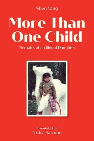 Cover of More Than One Child