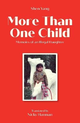 Book cover for More Than One Child