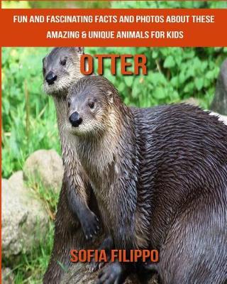 Book cover for Otter