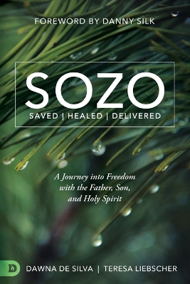Book cover for Sozo
