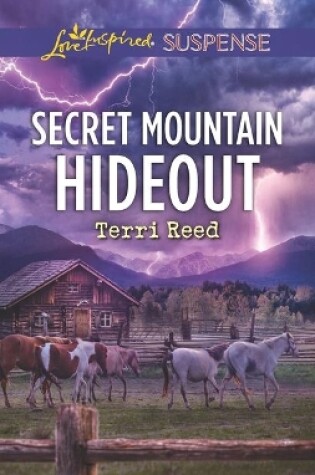 Cover of Secret Mountain Hideout