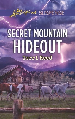 Book cover for Secret Mountain Hideout
