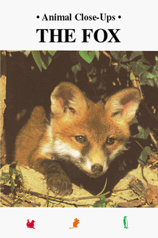 Cover of The Fox, Playful Prowler