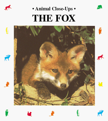Book cover for The Fox, Playful Prowler