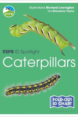 Cover of RSPB ID Spotlight - Caterpillars