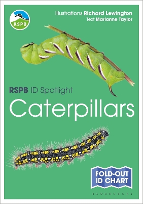 Book cover for RSPB ID Spotlight - Caterpillars