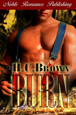 Cover of Burn