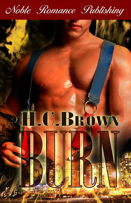 Book cover for Burn