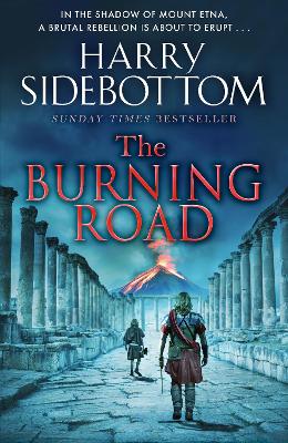 Book cover for The Burning Road