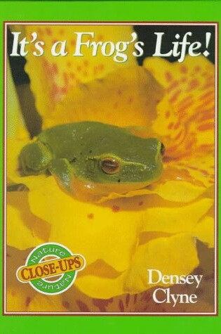Cover of It's a Frogs Life