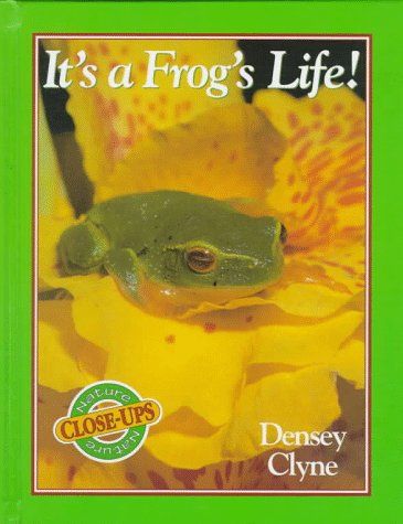 Book cover for It's a Frogs Life