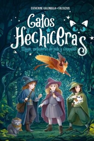 Cover of Gatos Y Hechiceras