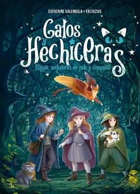 Book cover for Gatos Y Hechiceras