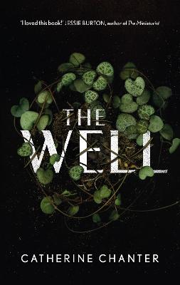 The Well by Catherine Chanter