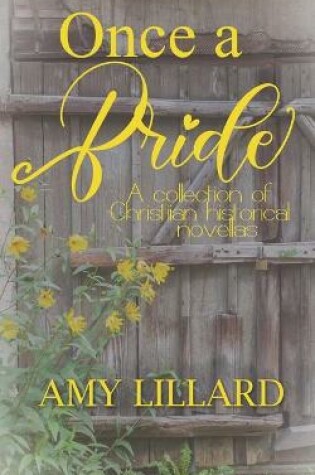 Cover of Once a Bride