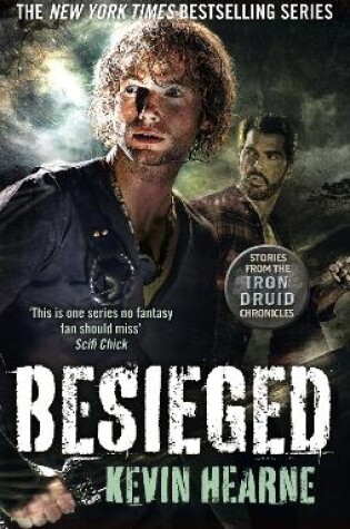 Cover of Besieged