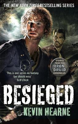 Book cover for Besieged