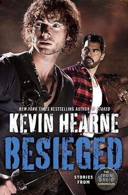 Book cover for Besieged