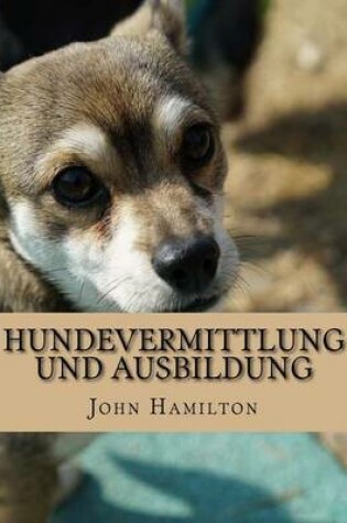 Cover of Hundevermittlung Und Ausbildung
