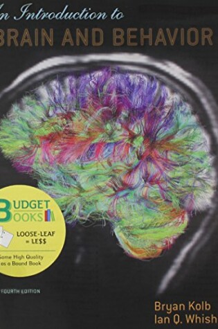 Cover of Introduction to Brain and Behavior (Loose-Leaf)