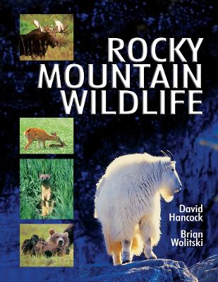 Book cover for Rocky Mountain Wildlife