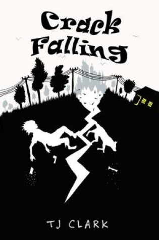 Cover of Crack Falling