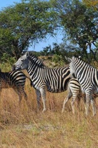 Cover of Wild Zebras in Zimbabwe, Africa Journal