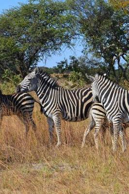 Book cover for Wild Zebras in Zimbabwe, Africa Journal