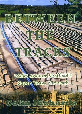 Book cover for Between the Tracks