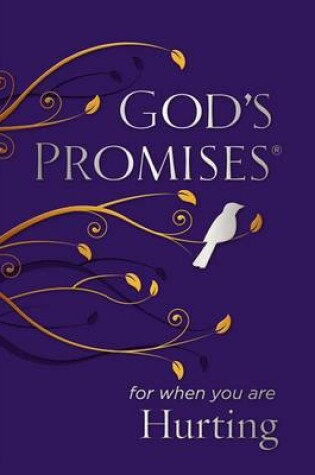 Cover of God's Promises for When You are Hurting