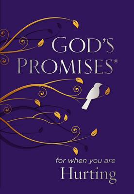 Book cover for God's Promises for When You are Hurting