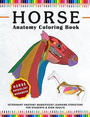 Book cover for Horse Coloring Physiology Workbook, Veterinary Anatomy Magnificent Learning Structure for Students & Even Adults