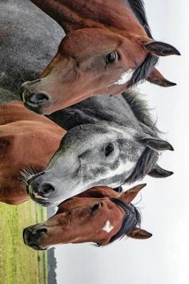 Book cover for Three Beautiful Horses in a Row Journal