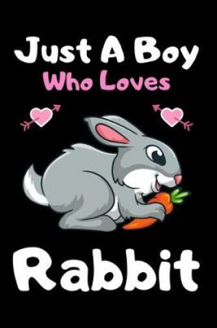 Cover of Just a boy who loves rabbit